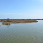 Pensjonat Degli Este Comacchio Codigoro