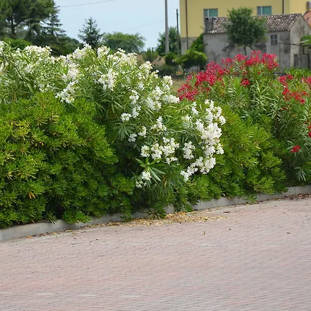 בית הארחה Degli Este Comacchio