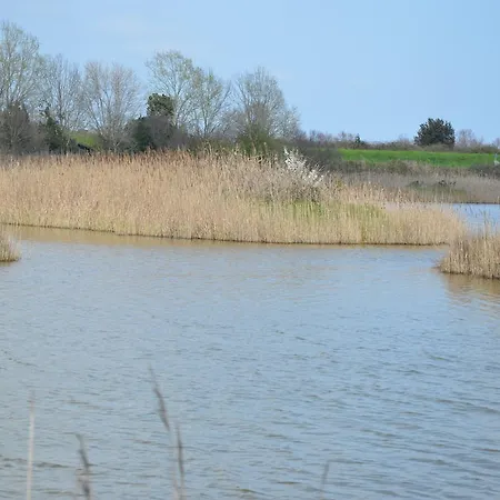 בית הארחה Degli Este Comacchio קודיגורו