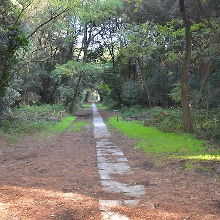 Degli Este Comacchio קודיגורו