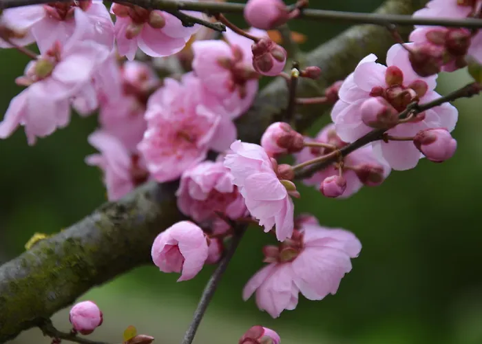 ゲストハウス Degli Este Comacchio *