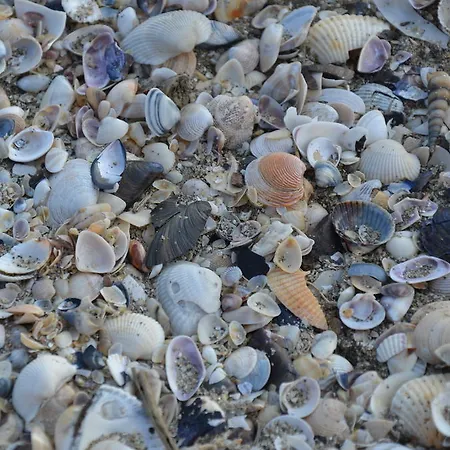 Degli Este Comacchio Codigoro