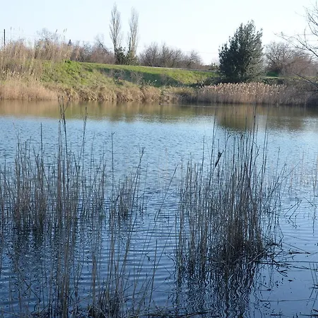 Πανσιόν Degli Este Comacchio