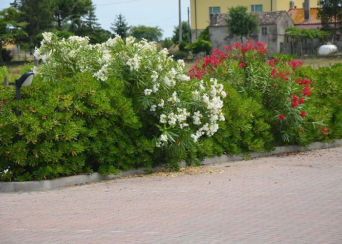 Гостевой дом Degli Este Comacchio