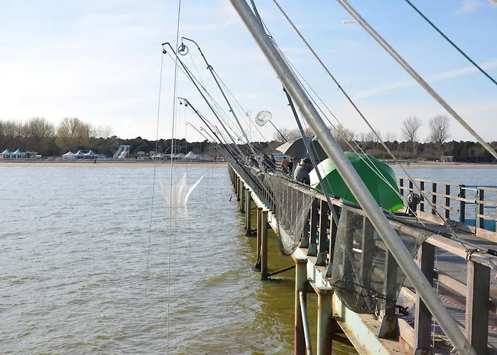 Degli Este Comacchio Codigoro