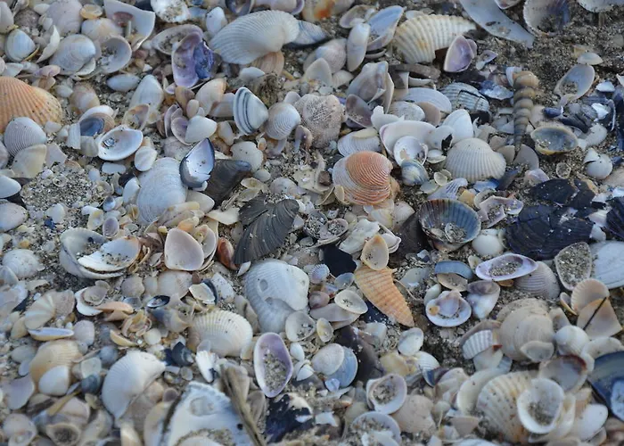 Degli Este Comacchio Кодигоро