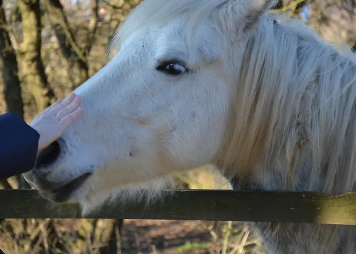 Гостевой дом Degli Este Comacchio *
