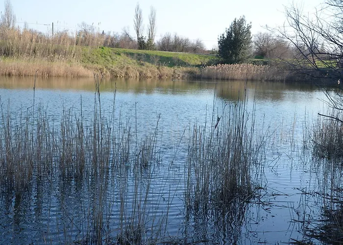 Гостевой дом Degli Este Comacchio