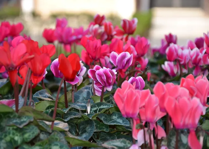 Pensjonat Degli Este Comacchio