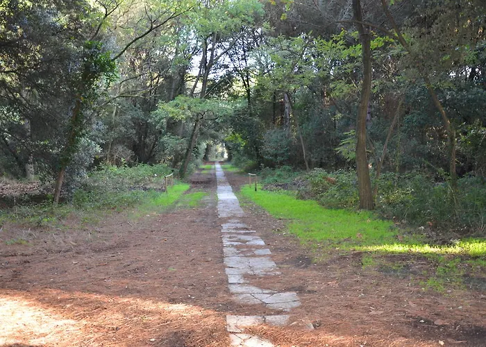 Degli Este Comacchio Кодигоро